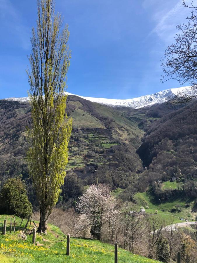 Maison De Montagne Borce المظهر الخارجي الصورة